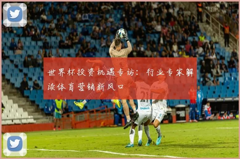 世界杯投资机遇专访:行业专家解读体育营销新风口