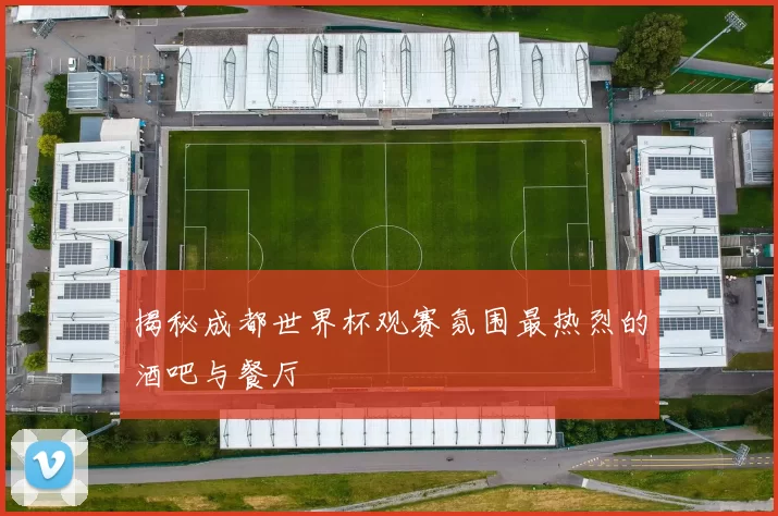 揭秘成都世界杯观赛氛围最热烈的酒吧与餐厅