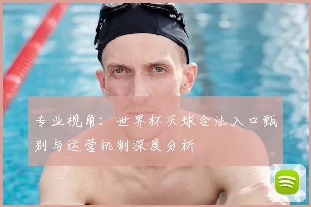 专业视角：世界杯买球合法入口甄别与运营机制深度分析