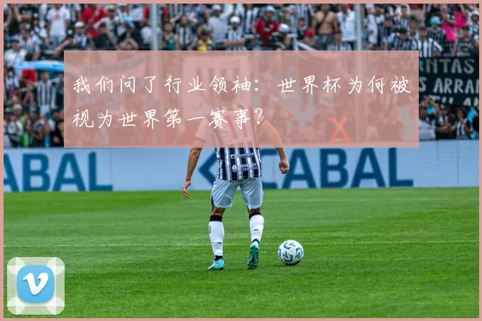 我们问了行业领袖:世界杯为何被视为世界第一赛事?
