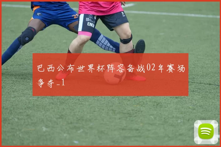 巴西公布世界杯阵容备战02年赛场争夺_1