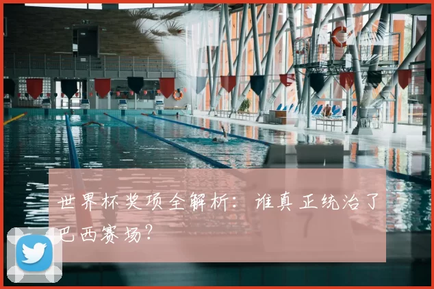 世界杯奖项全解析:谁真正统治了巴西赛场?