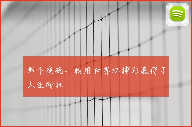 那个夜晚,我用世界杯搏彩赢得了人生转机