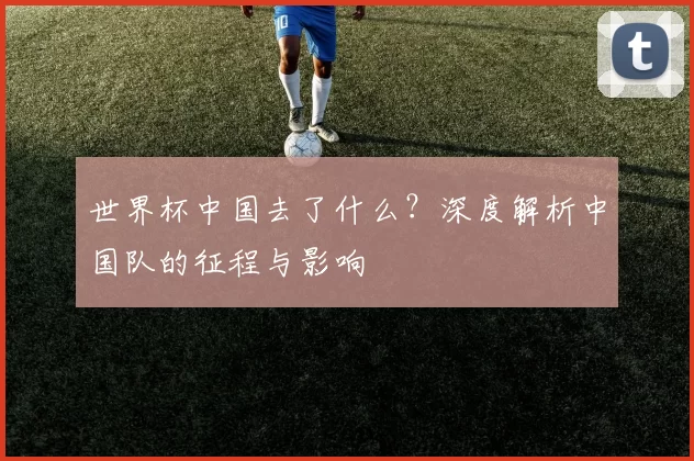 世界杯中国去了什么?深度解析中国队的征程与影响