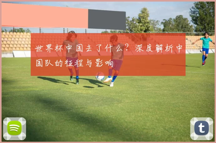 世界杯中国去了什么?深度解析中国队的征程与影响